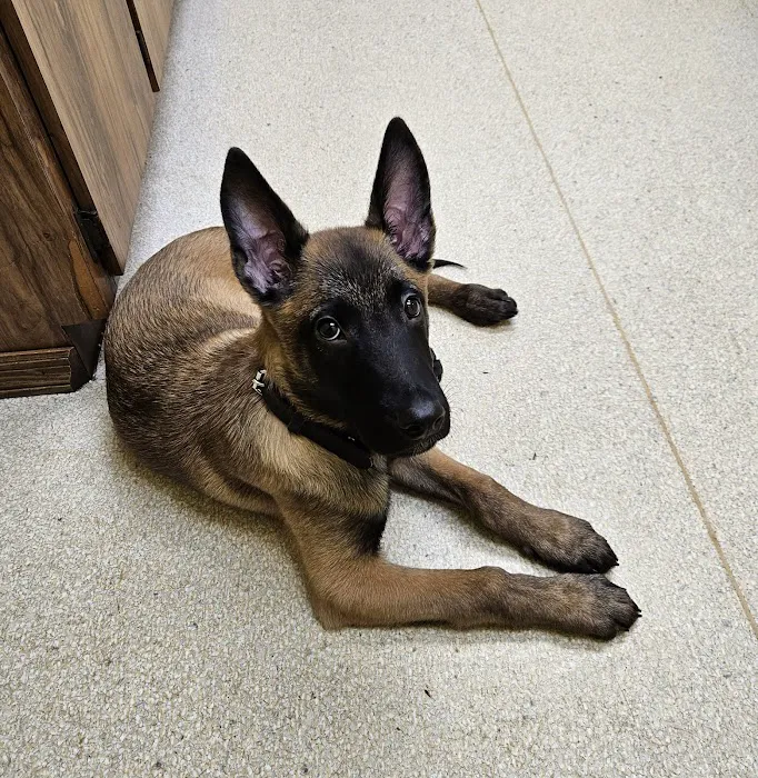 West County Animal Clinic 12