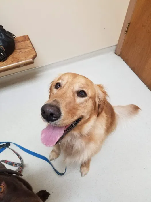 Barrett Station Veterinary Clinic 2