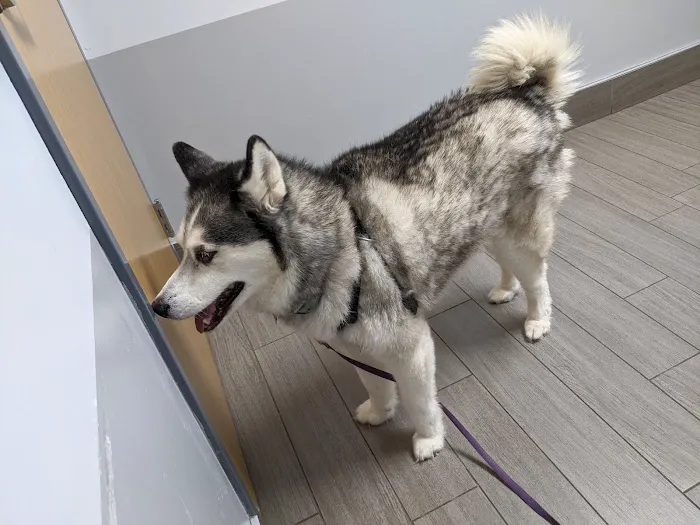 Barrett Station Veterinary Clinic 3