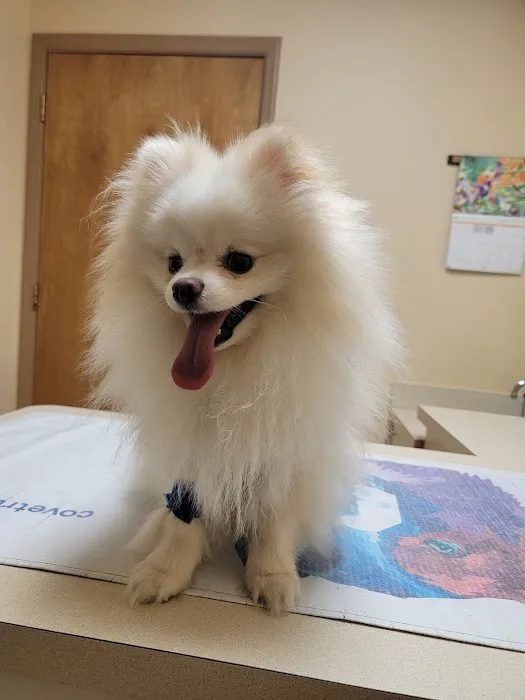 Barrett Station Veterinary Clinic 4