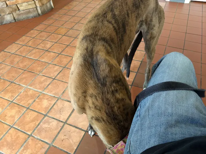 Sulphur Springs Veterinary Clinic LLC 10