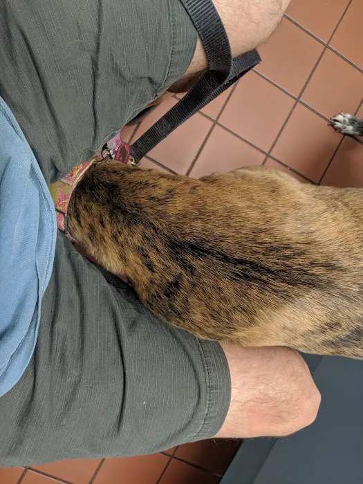 Sulphur Springs Veterinary Clinic LLC 8