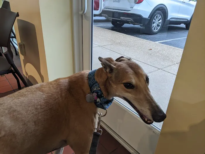 Sulphur Springs Veterinary Clinic LLC 1