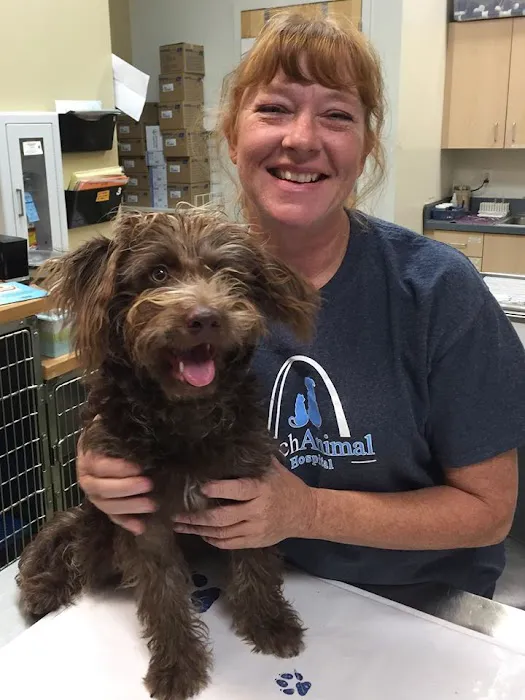 Arch Animal Hospital 12