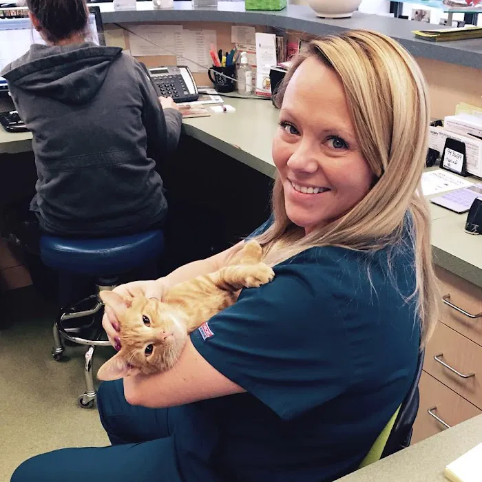 Arch Animal Hospital 12
