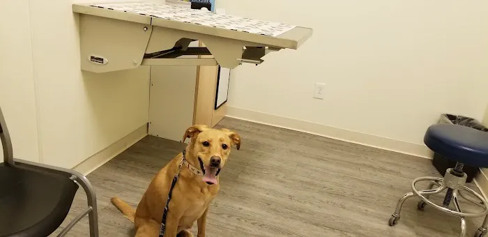 Arch Animal Hospital 12