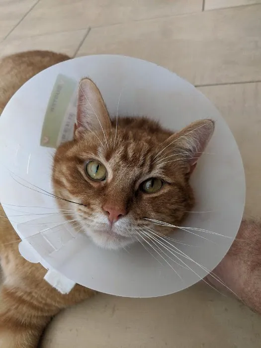 Capitol Area Animal Medical Center 5