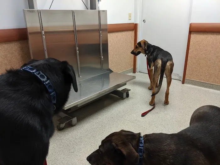 Capitol Area Animal Medical Center 9