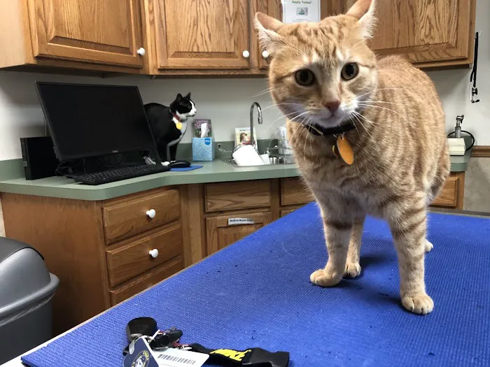 Colonial Park Animal Clinic 2