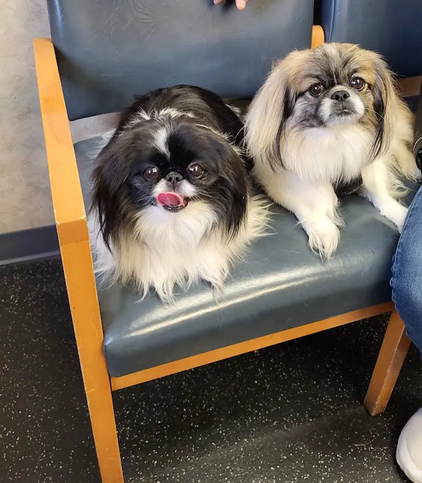 Colonial Park Animal Clinic 7