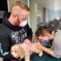 Derry Animal Hospital ico