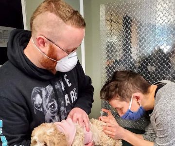 Derry Animal Hospital