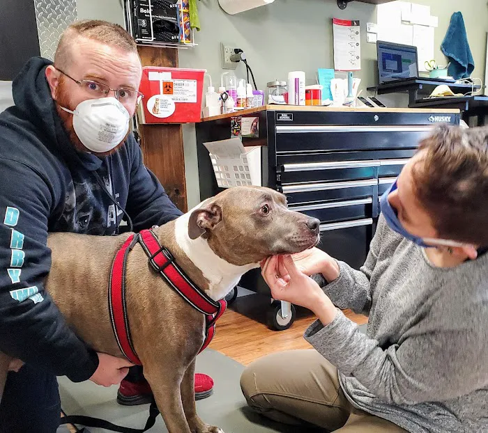 Derry Animal Hospital 2