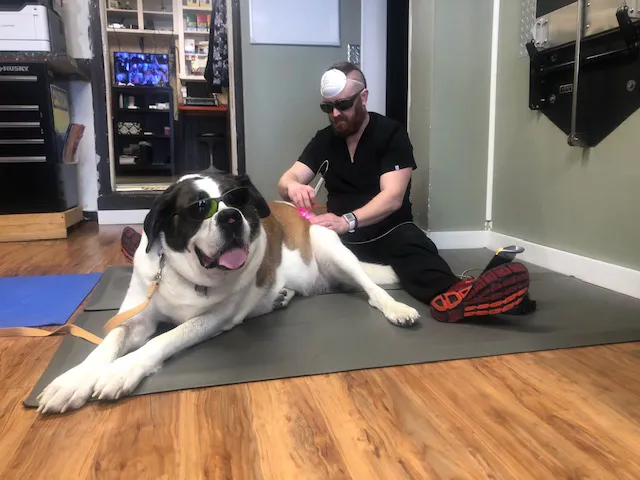 Derry Animal Hospital 4