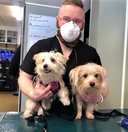 Derry Animal Hospital 6