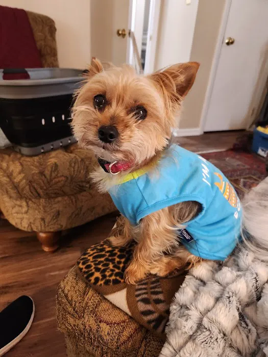 Banfield Pet Hospital 3