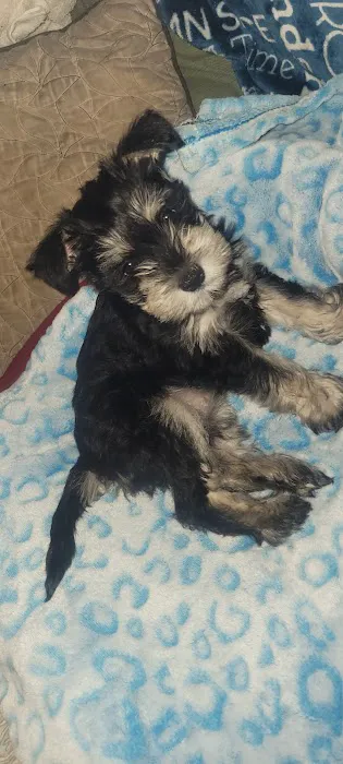 Banfield Pet Hospital 6