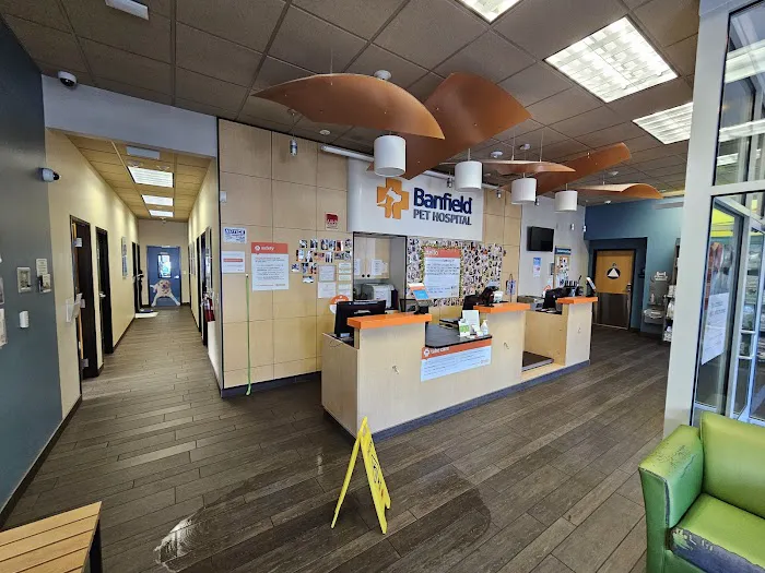 Banfield Pet Hospital 2
