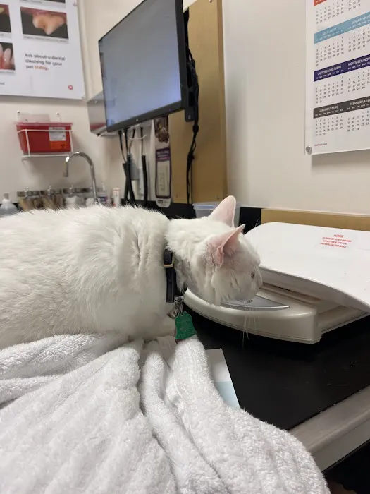 Banfield Pet Hospital 8