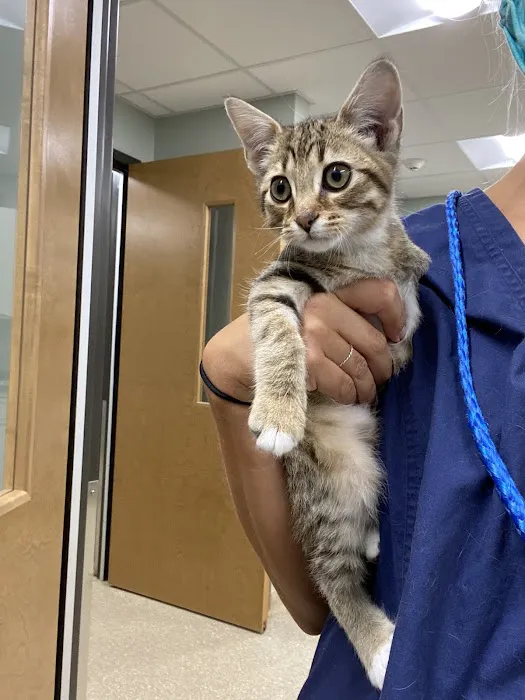 SouthPark Animal Hospital 5