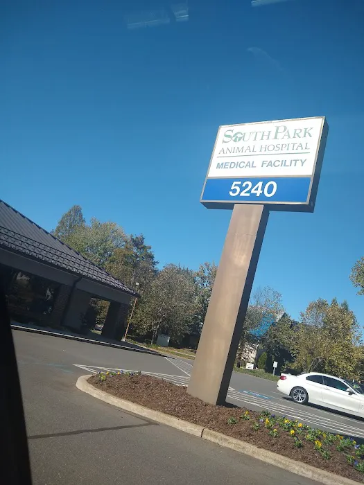 SouthPark Animal Hospital 3
