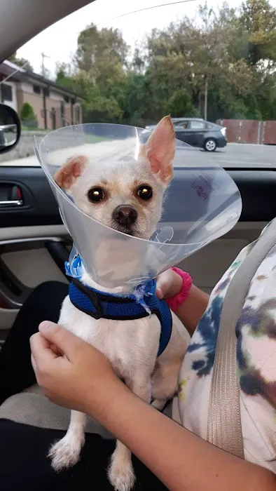 SouthPark Animal Hospital 8