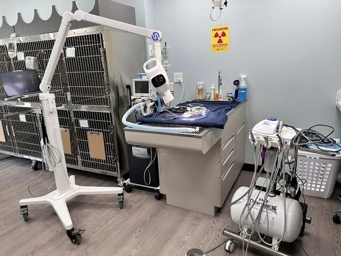 Park Road Animal Hospital 12