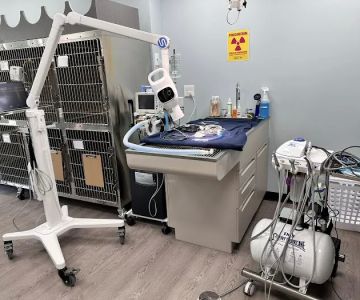 Park Road Animal Hospital