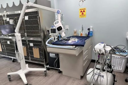 Park Road Animal Hospital