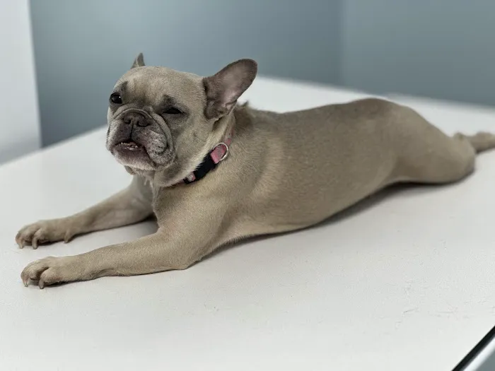 Park Road Animal Hospital 12