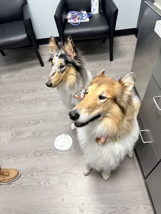 Park Road Animal Hospital 12