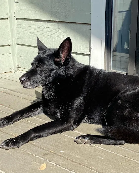 Quail Hollow Veterinary Hospital 4