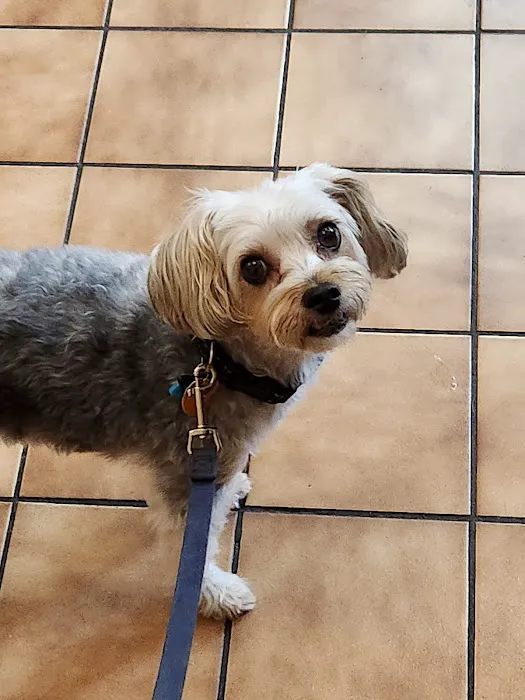 Sharon Lakes Animal Hospital 12