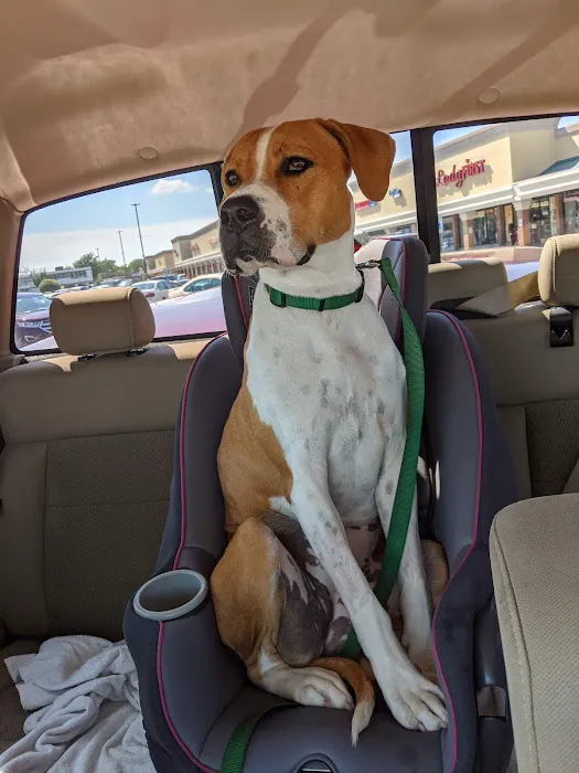 Suburban Animal Hospital 1