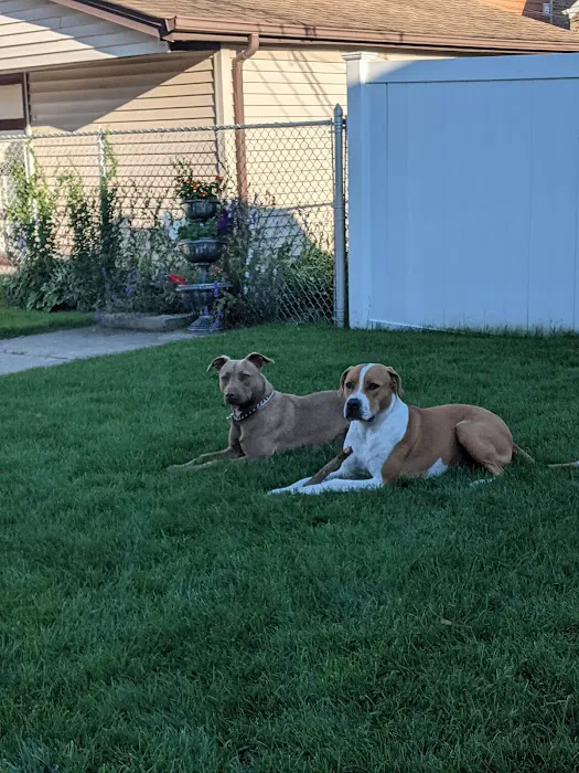 Suburban Animal Hospital 7