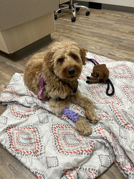 VCA Milwaukee Emergency Center for Animals 1