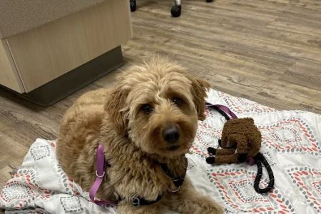 VCA Milwaukee Emergency Center for Animals