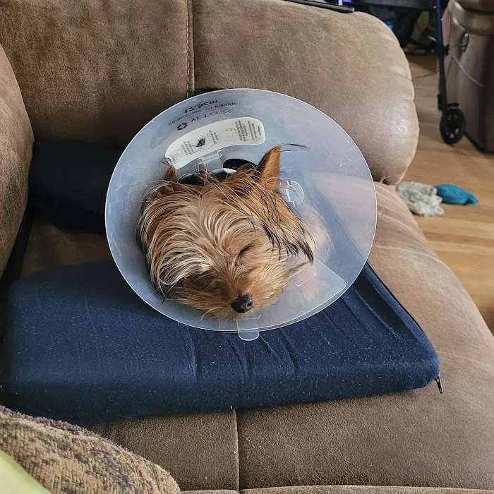 Spay/Neuter Clinic - Wisconsin Humane Society 9