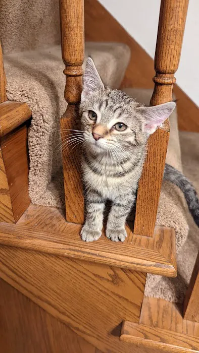 Spay/Neuter Clinic - Wisconsin Humane Society 3