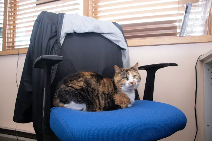 Companion Animal Hospital 2