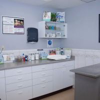 Companion Animal Hospital ico