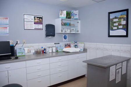 Companion Animal Hospital
