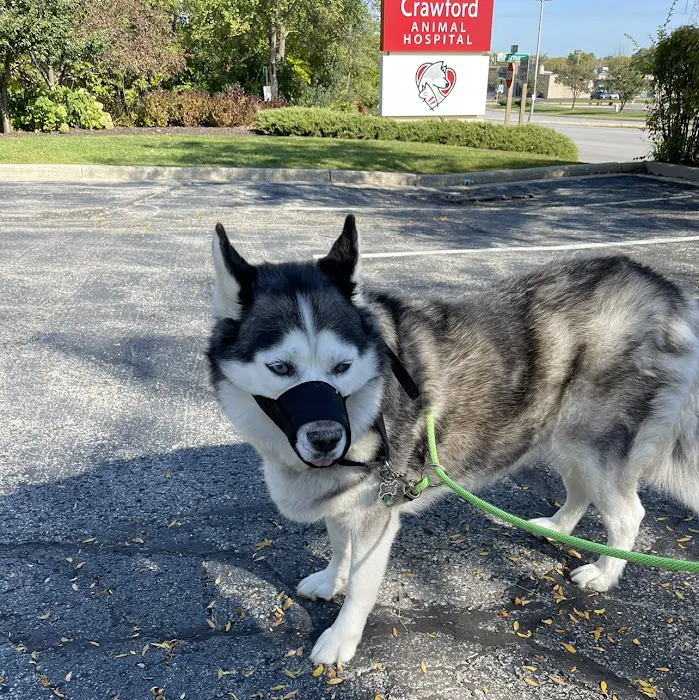 Crawford Animal Hospital 9