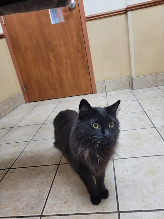 West Allis Animal Hospital 12