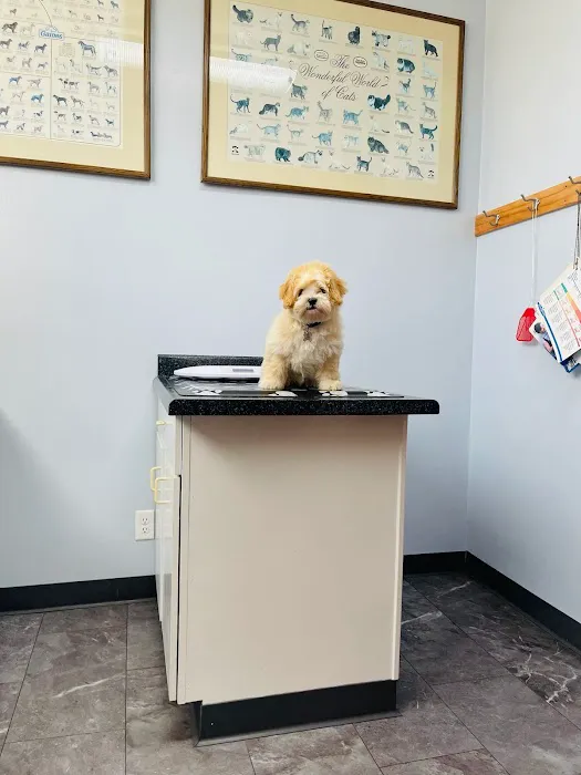 Milwaukee Animal Hospital 12