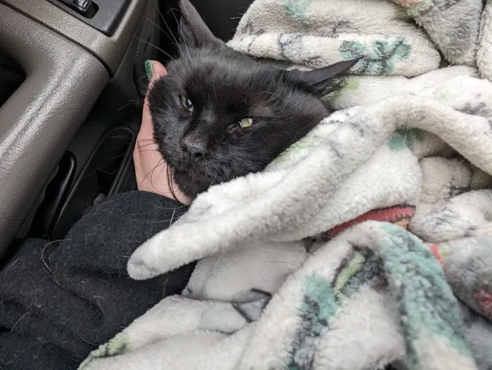Milwaukee Animal Hospital 12