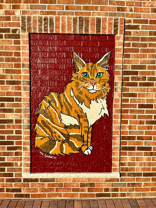 Alta View Veterinary Clinic 12