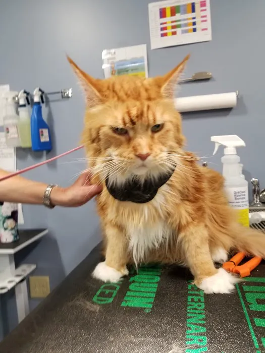 East Tosa Veterinary Clinic 7