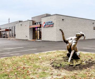 Frontier Veterinary Urgent Care