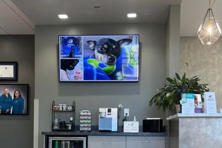 Midwest Veterinary Specialists